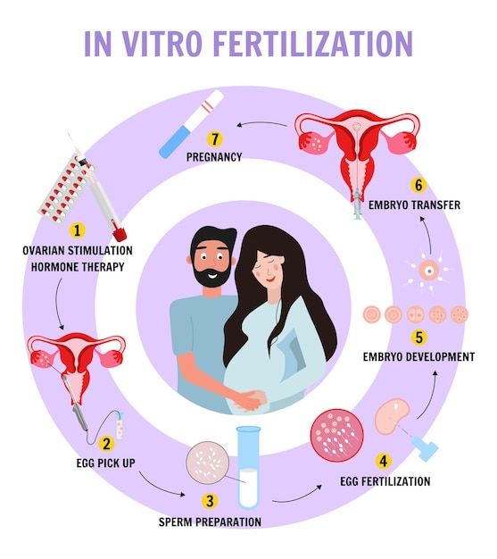people planning baby in vitro fertilization concept in vector illustration premium vector